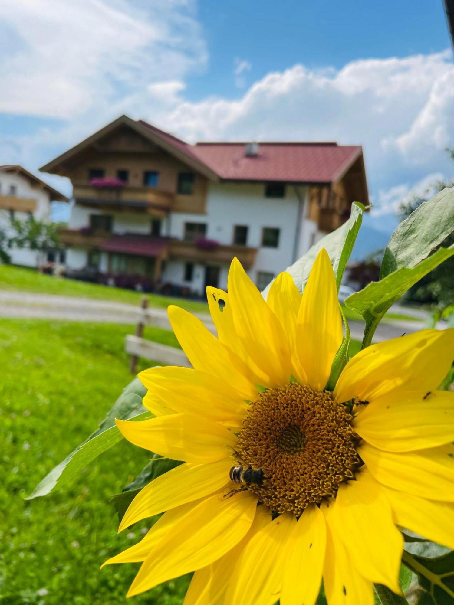 Вилла Schneiderhof Верберг Экстерьер фото